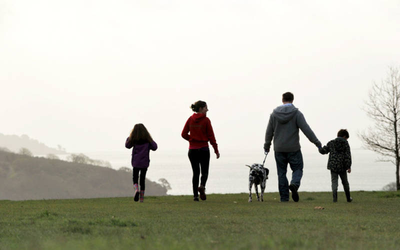 family-dog-walking-1000-625