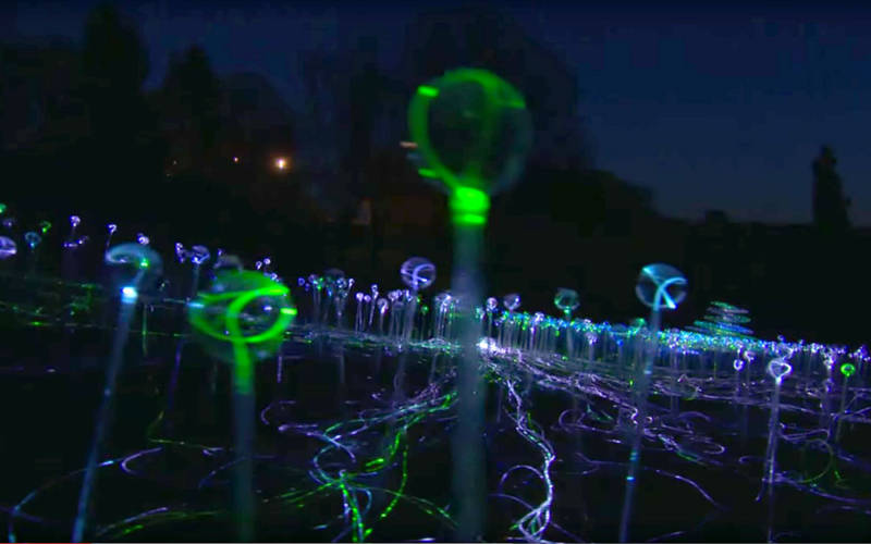 Still image from Bruce Munro video