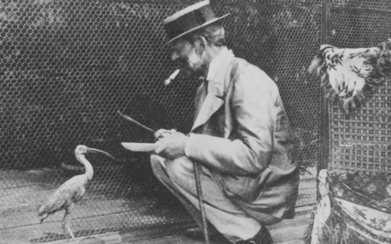 Ferdinand-feeding-bird