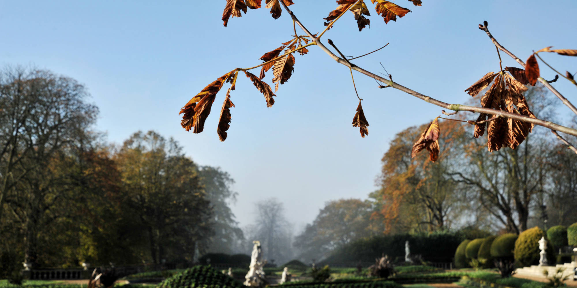 Autumnal parterre