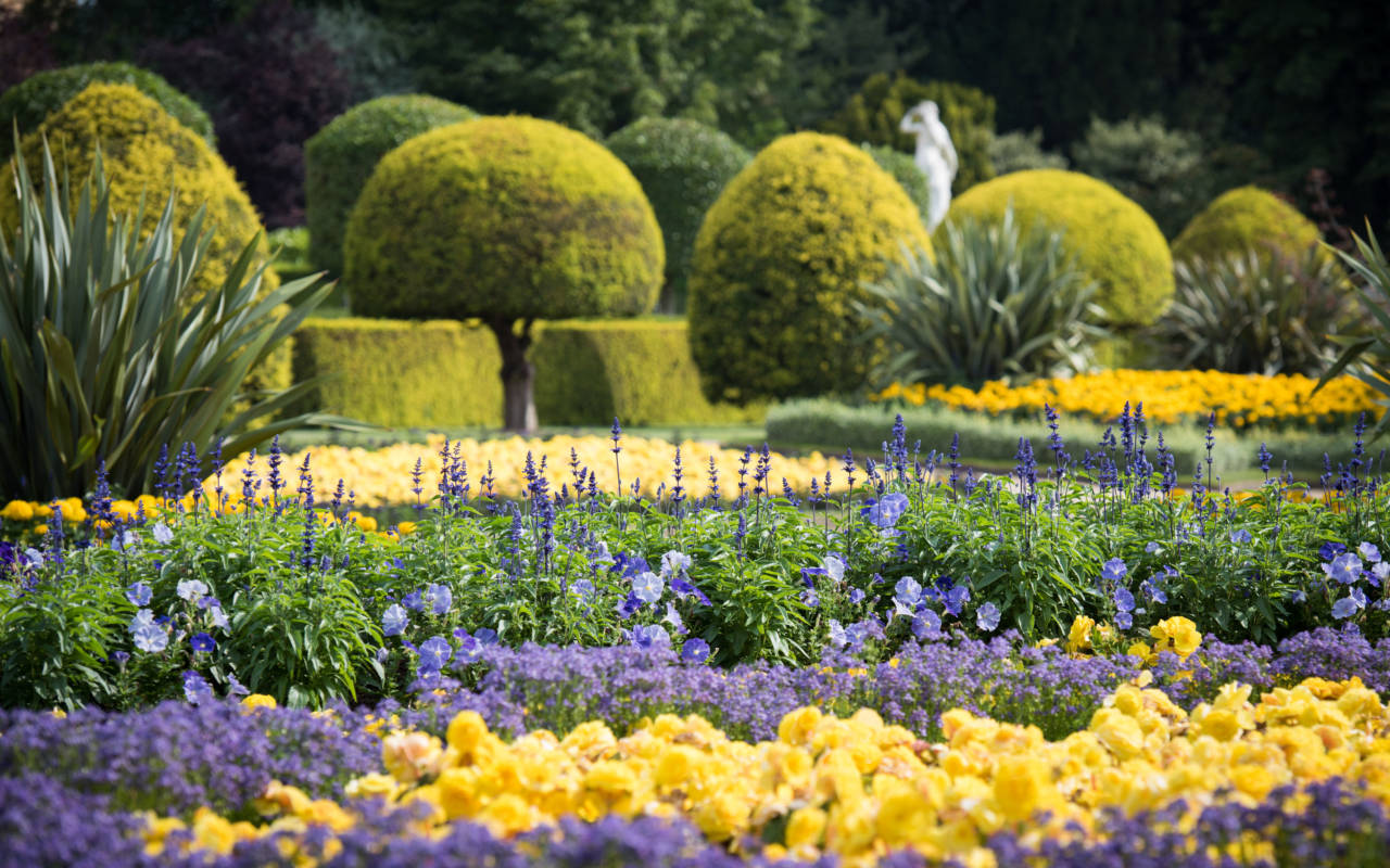 Spring flowers on the parterre