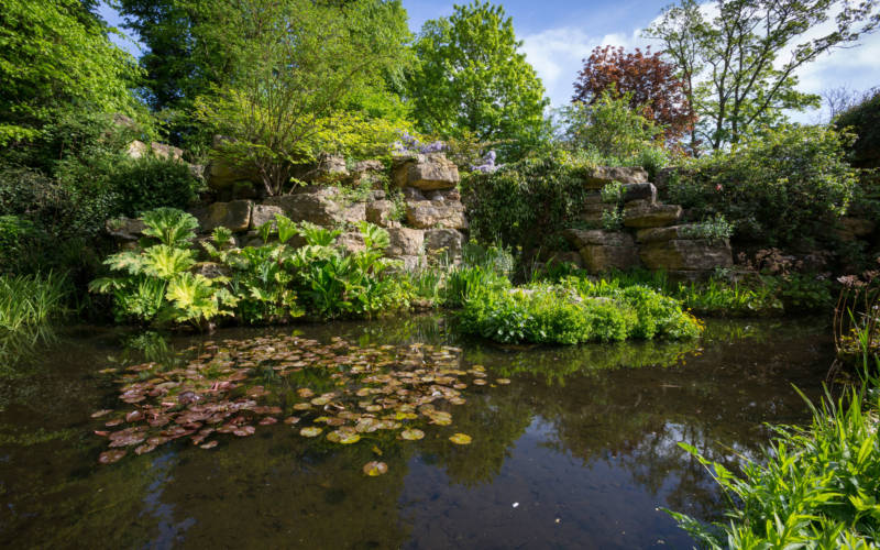 Dairy Water Garden today