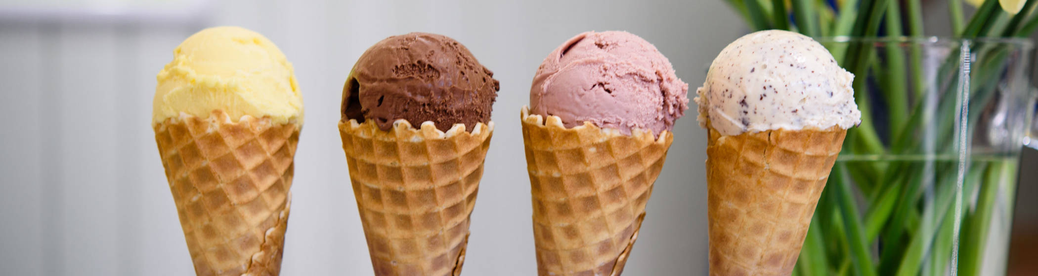 artisan ice cream in the stables treaterie