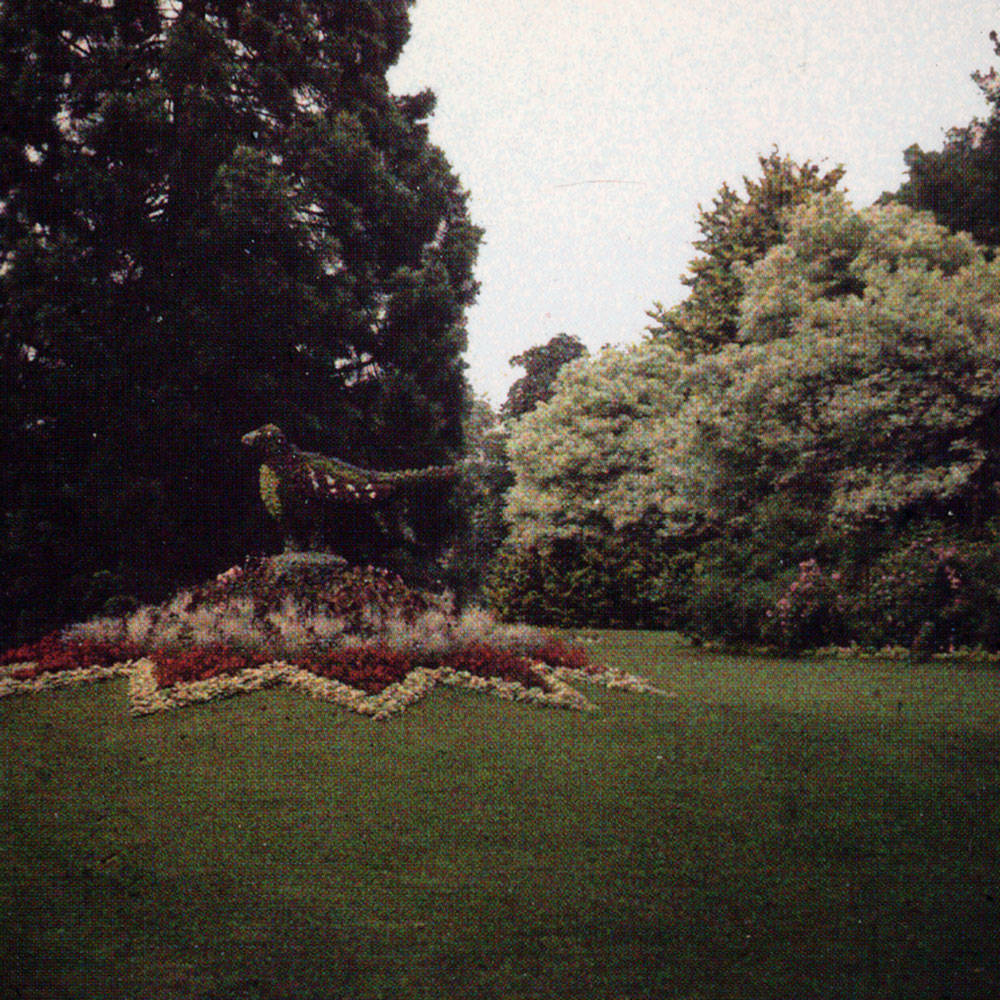 3D bird c. 1910