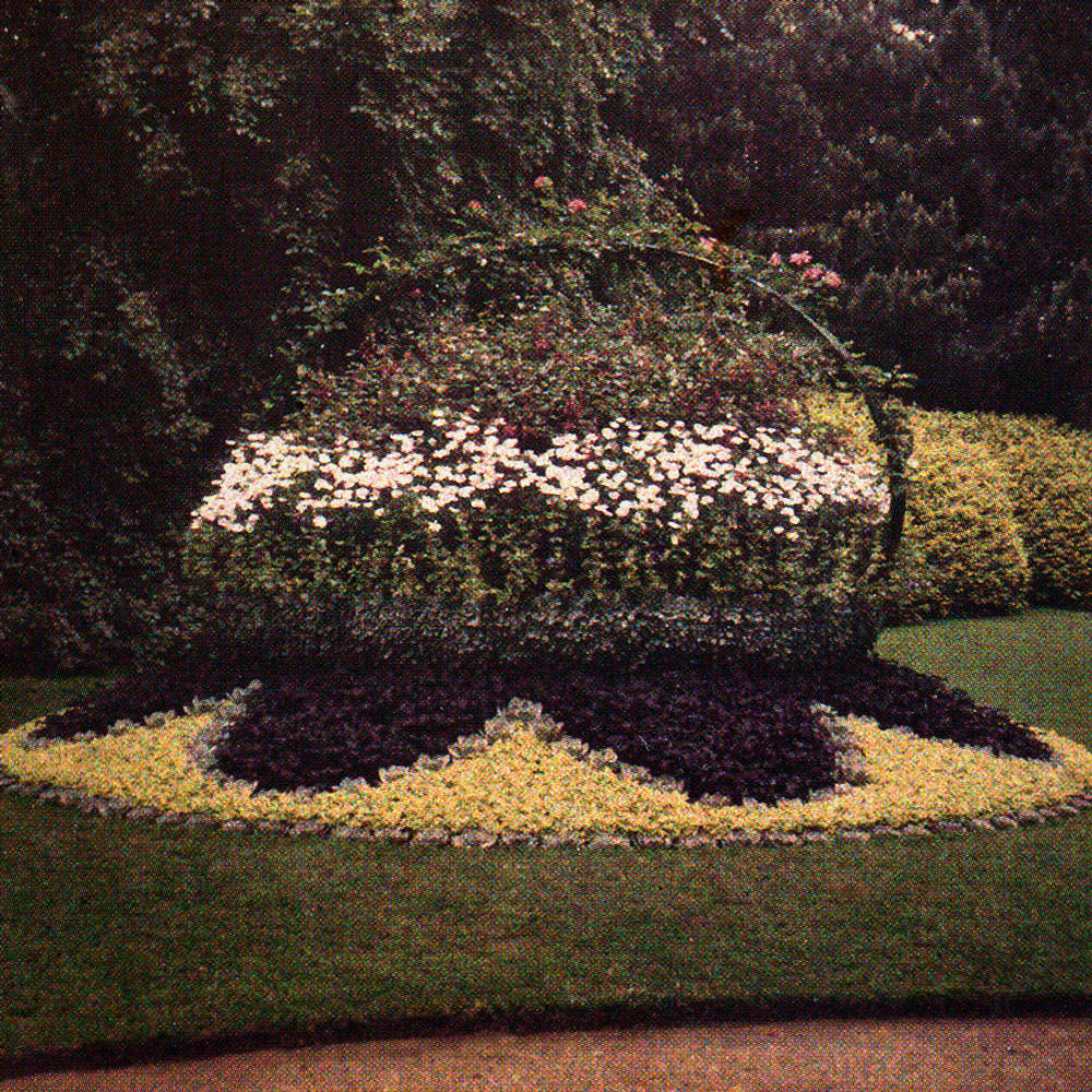 Miss Alice's 'basket' c. 1910