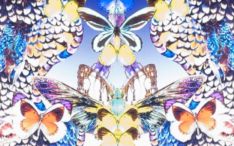detail Mary Katrantzou