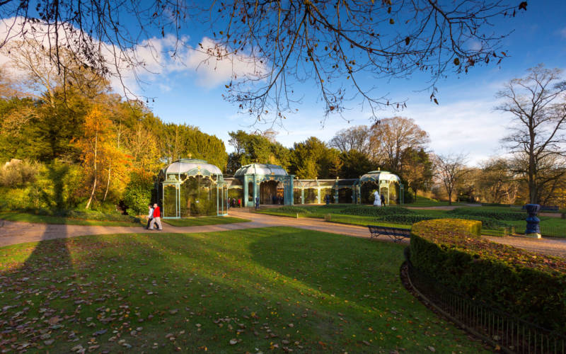 autumn-colours-aviary-visitors-lacey-3000-1875