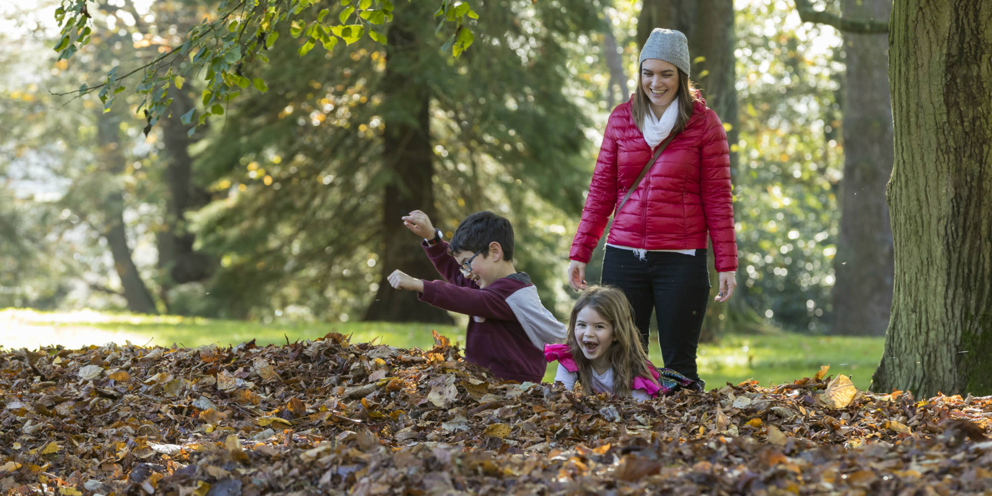 Children playing in autumn leaves at Waddesdon