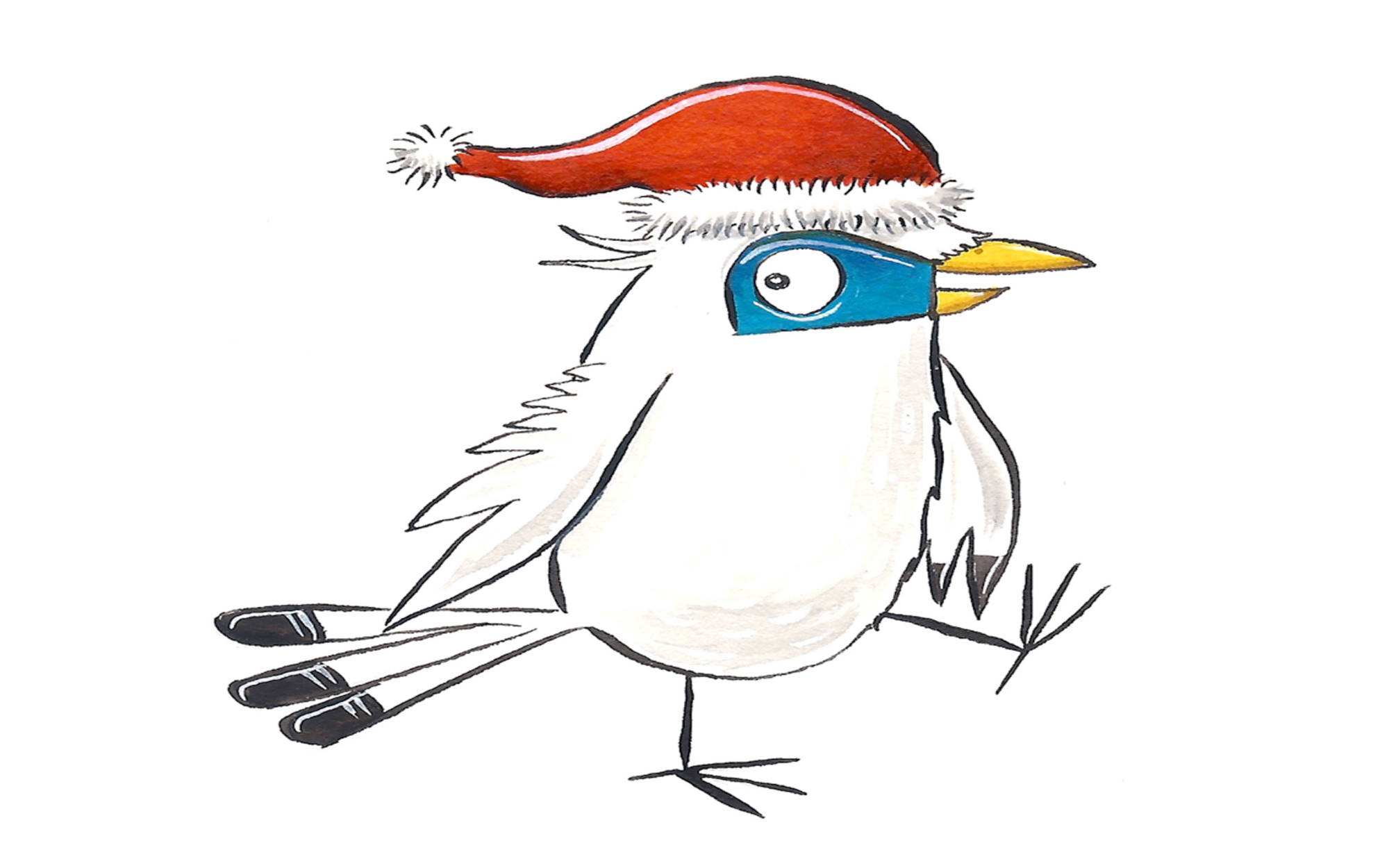 Waddesdon's mascot mimi the mynah wearing a christmas hat