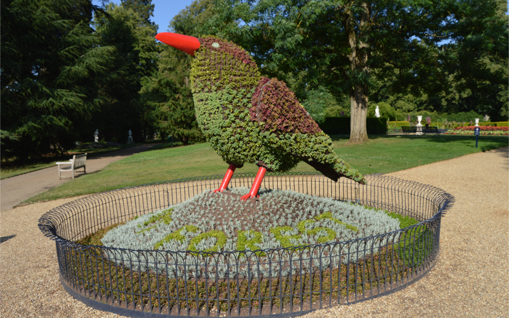 The Javan Green Magpie has been created by our gardens team to celebrate one of the flagship species being protected by the campaign.