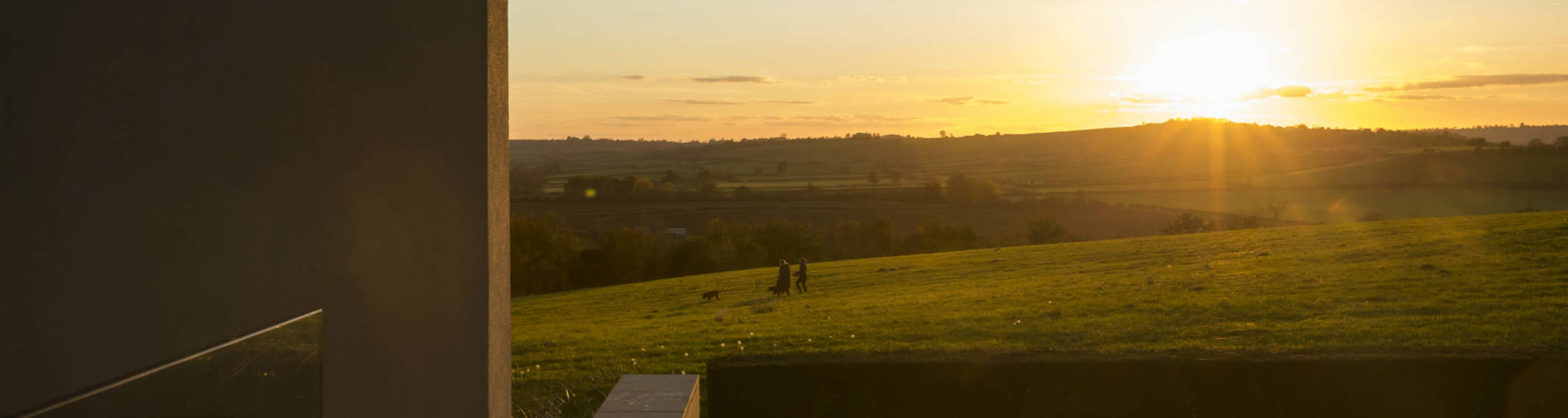 Dog walk at Windmill Hill