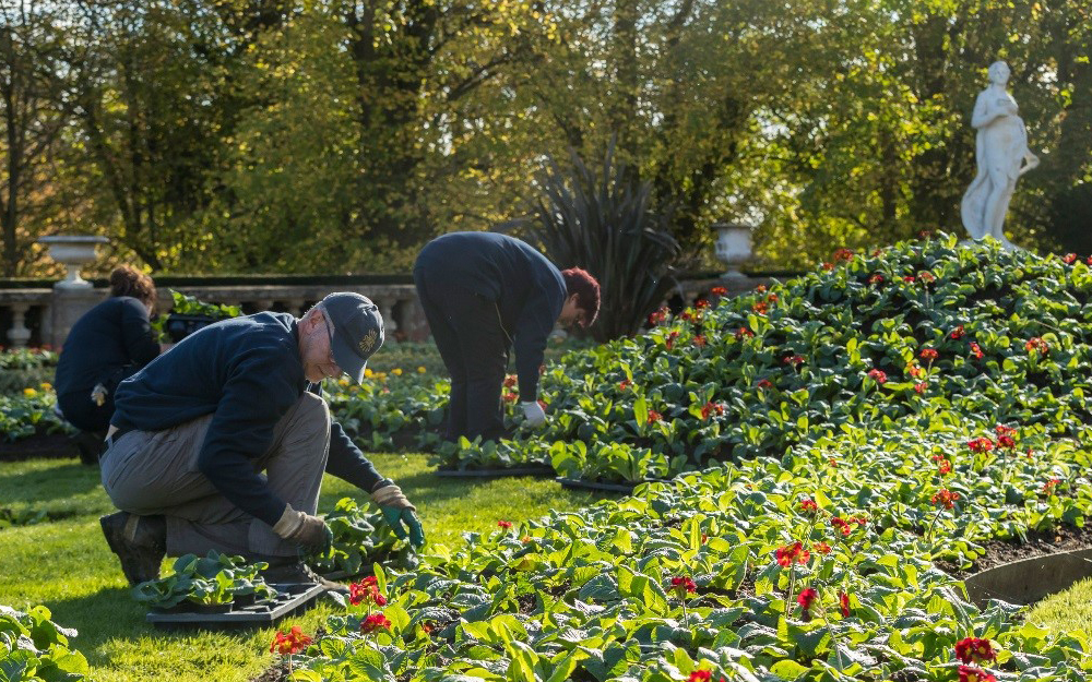 Gardeners at work