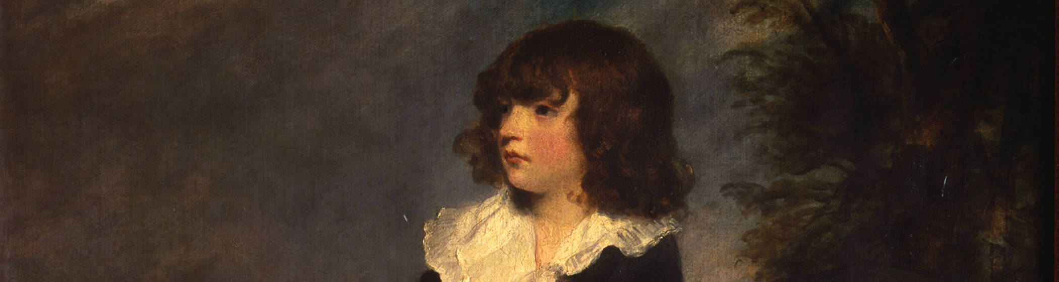 Joshua Reynolds, Master Thomas Braddyll, 1783