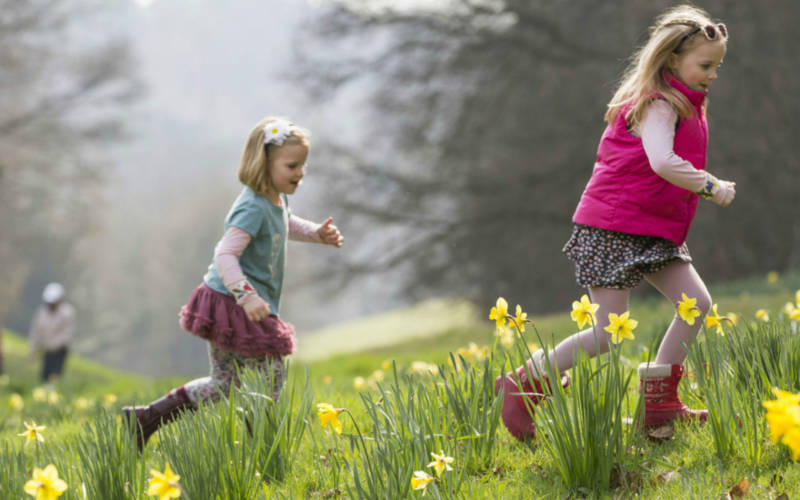 nt-children-running-daffodils-chris-lacey-3000-1500