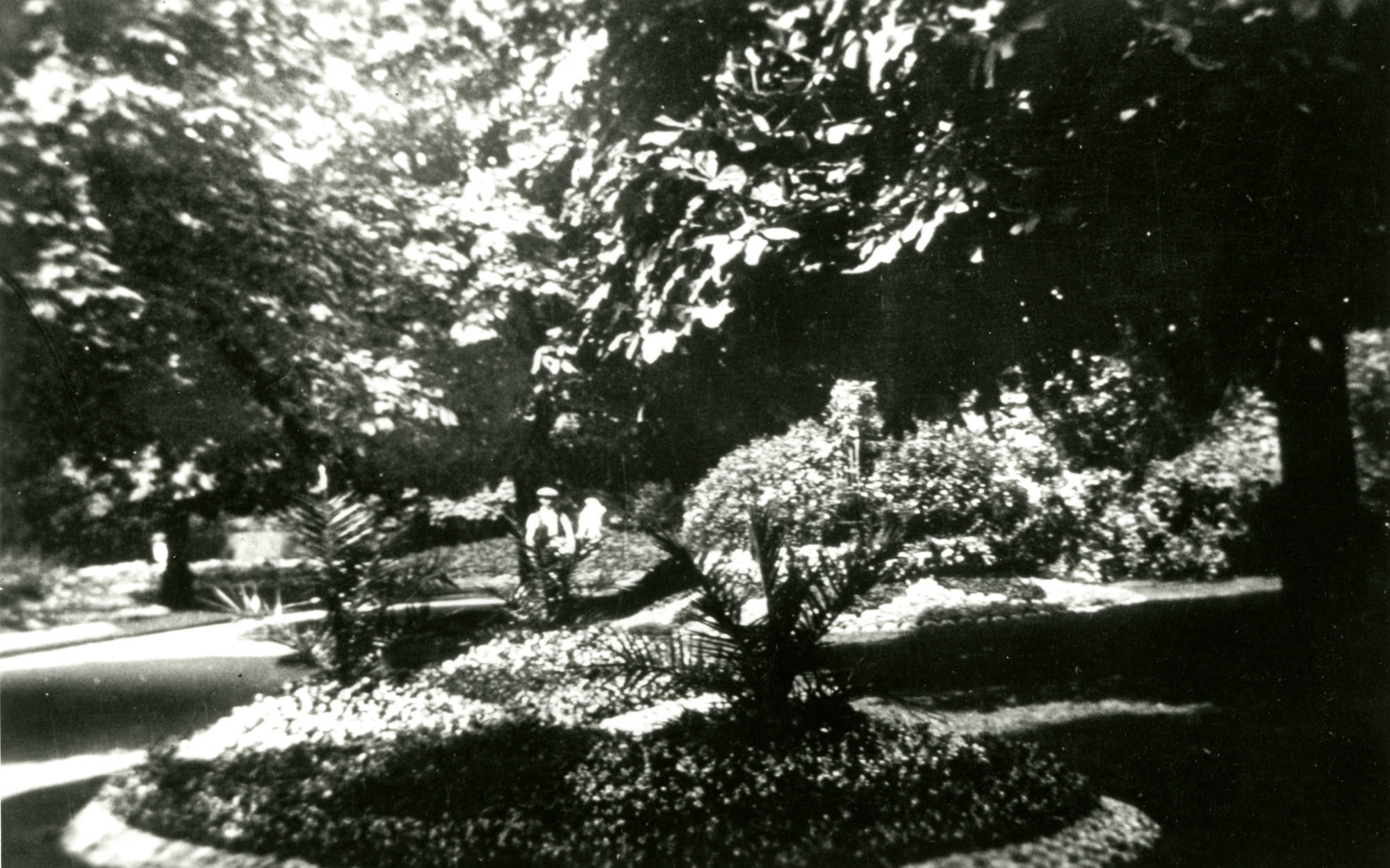 Late 19th century view of the Aviary garden looking North from the top of Wildflower Valley