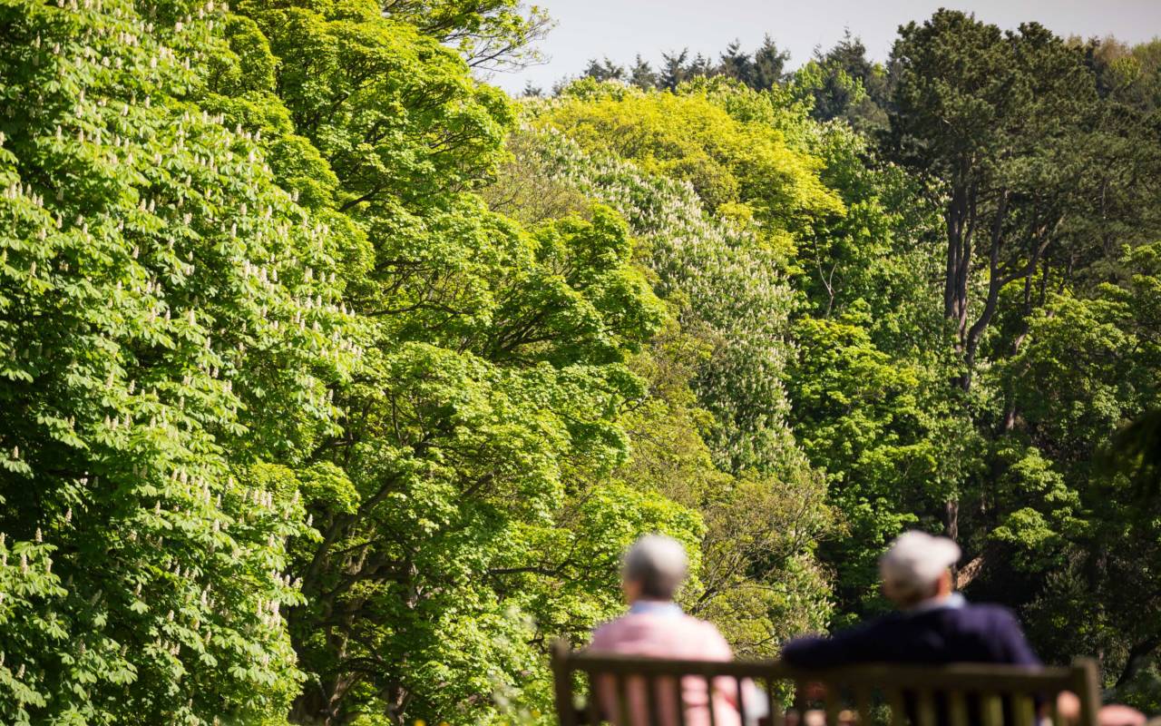 Enjoy a moment of reflection on your visit
