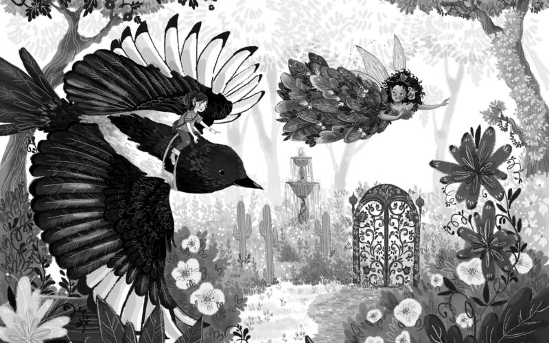 Magical Kingdom of Birds by Anne Booth