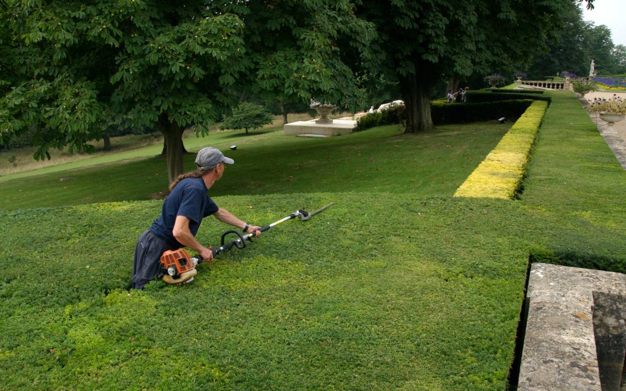 Gardener trimming hedge on the Parterre