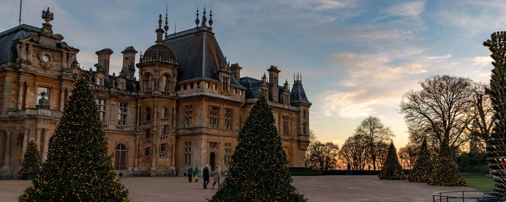The Manor and Christmas trees