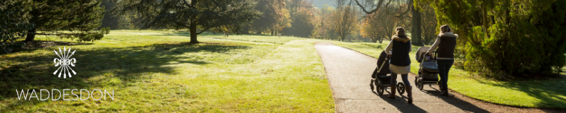 Waddesdon Manor Banner