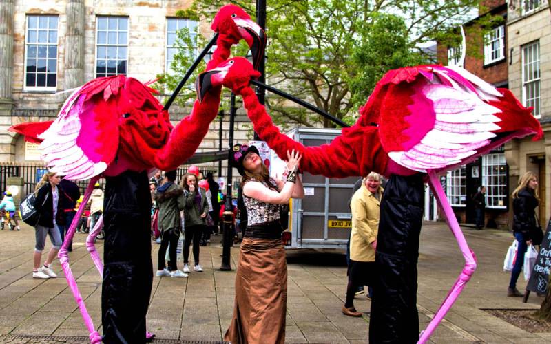 Artemis-Flamingos-duo-with-handler