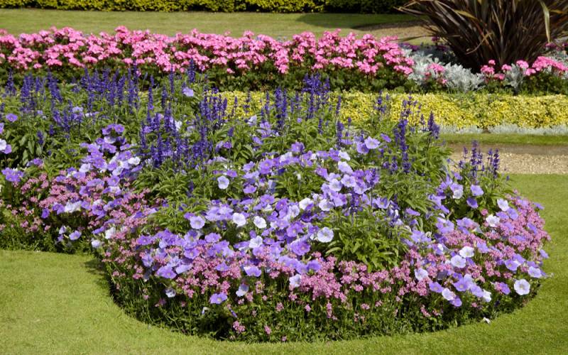 Ribbon bedding
