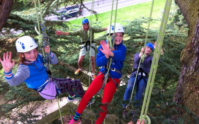 Children tree climbing