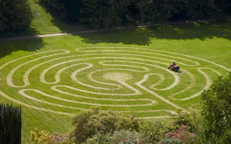 Mowed grass maze
