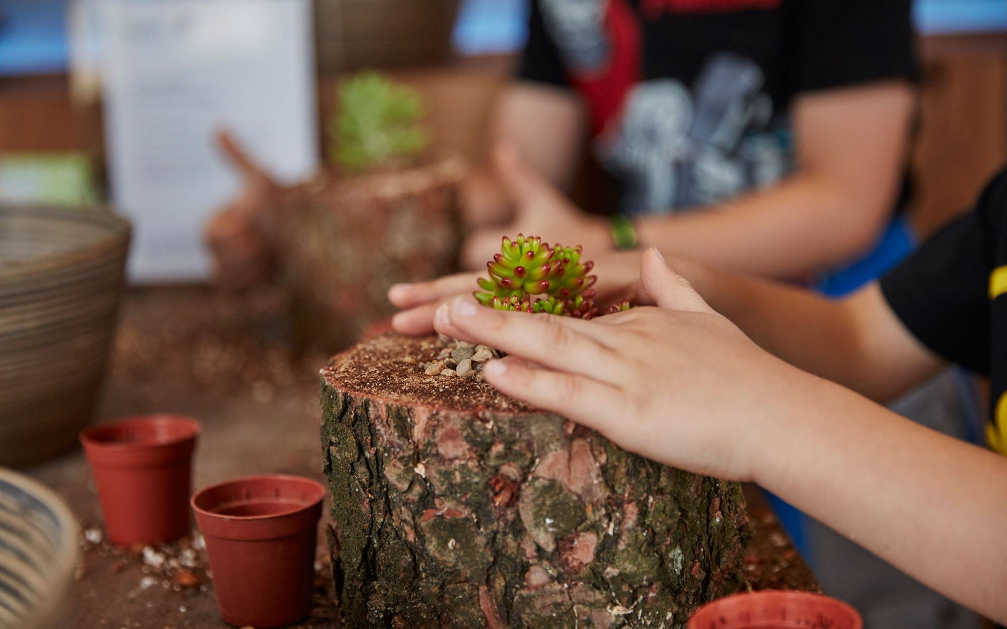 Nature inspired workshops at BMW i Create with Nature event