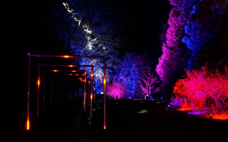 Aviary-gardens-light-trail-Christmas-at-Waddesdon-Manor-Yes-Events-Ltd-1000-625