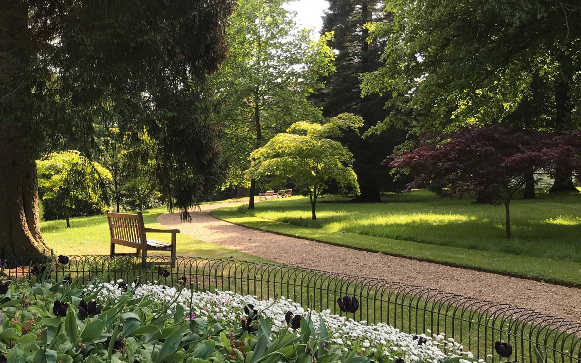 View of half moon path with trees and a bench