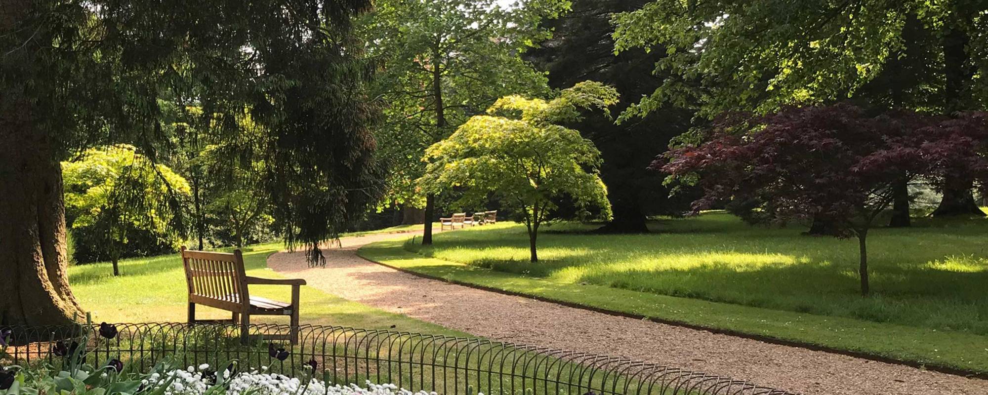 View of half moon path with trees and a bench