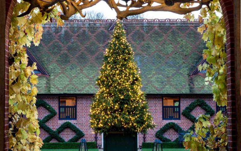 Dairy-Christmas-Tree-2-1000x625