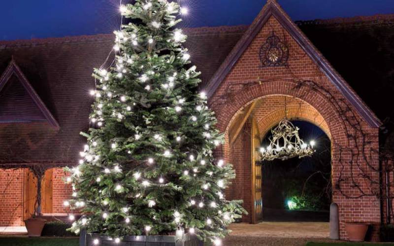 Dairy-Christmas-Tree-1000x625