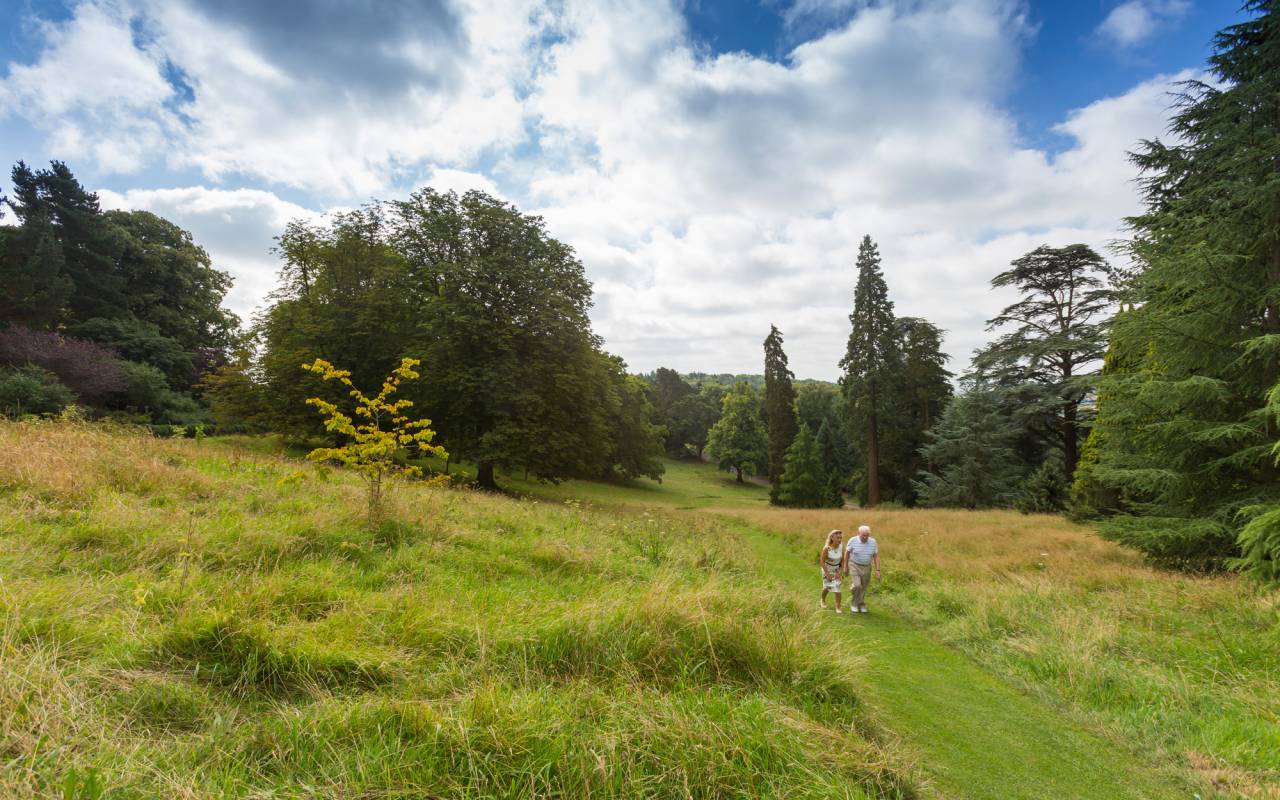 Wildflower Valley with a couple walking through
