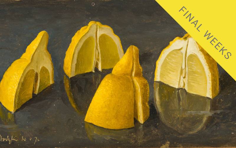 Eliot-Hodgkin-Final-Weeks-graphic