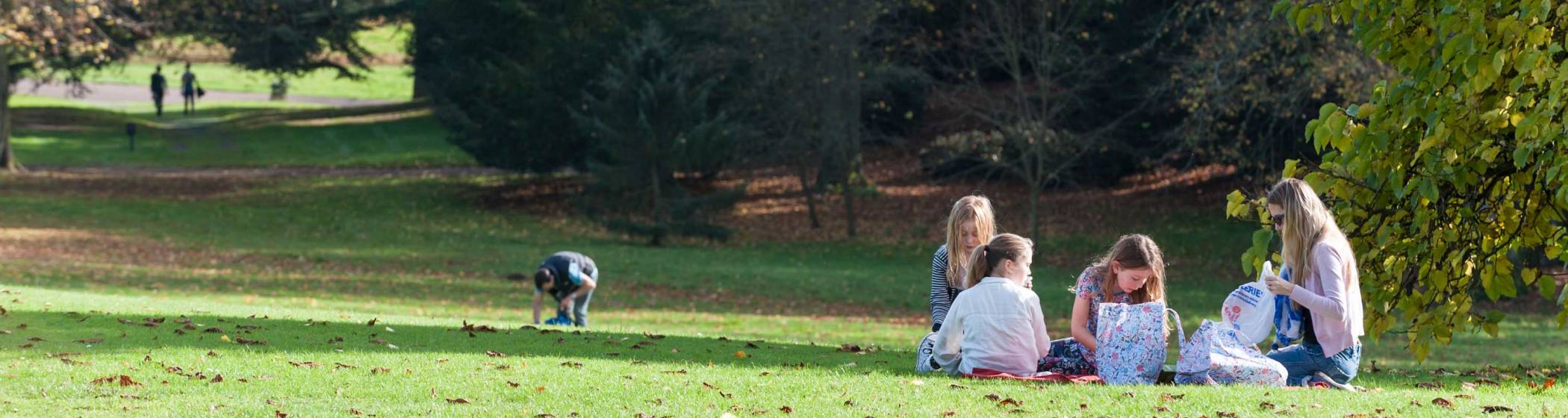 A family autumnal picnic
